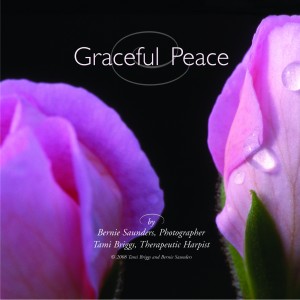 Tami Briggs, Musical Reflections, Graceful Peace DVD